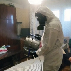 Дезинфекция от клопов в Солнечногорске