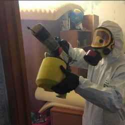 Уничтожение клопов в квартире. Солнечногорск